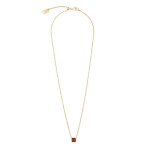 Birthstone January Necklace Red Agate Gold