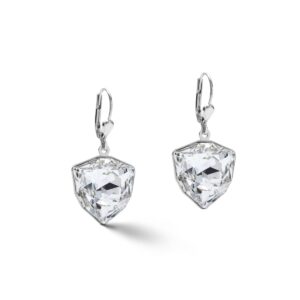 Earrings Magic crystal & chunky chain crystal