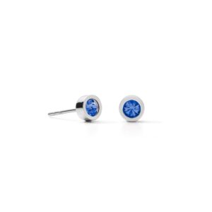 Earrings Sparkling Dot silver blue