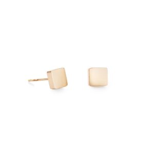 Earrings Square stainless steel rose gold